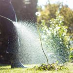 Person spraying weeds with herbicide, Roundup