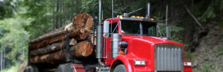 Red semi-truck transporting heavy logs