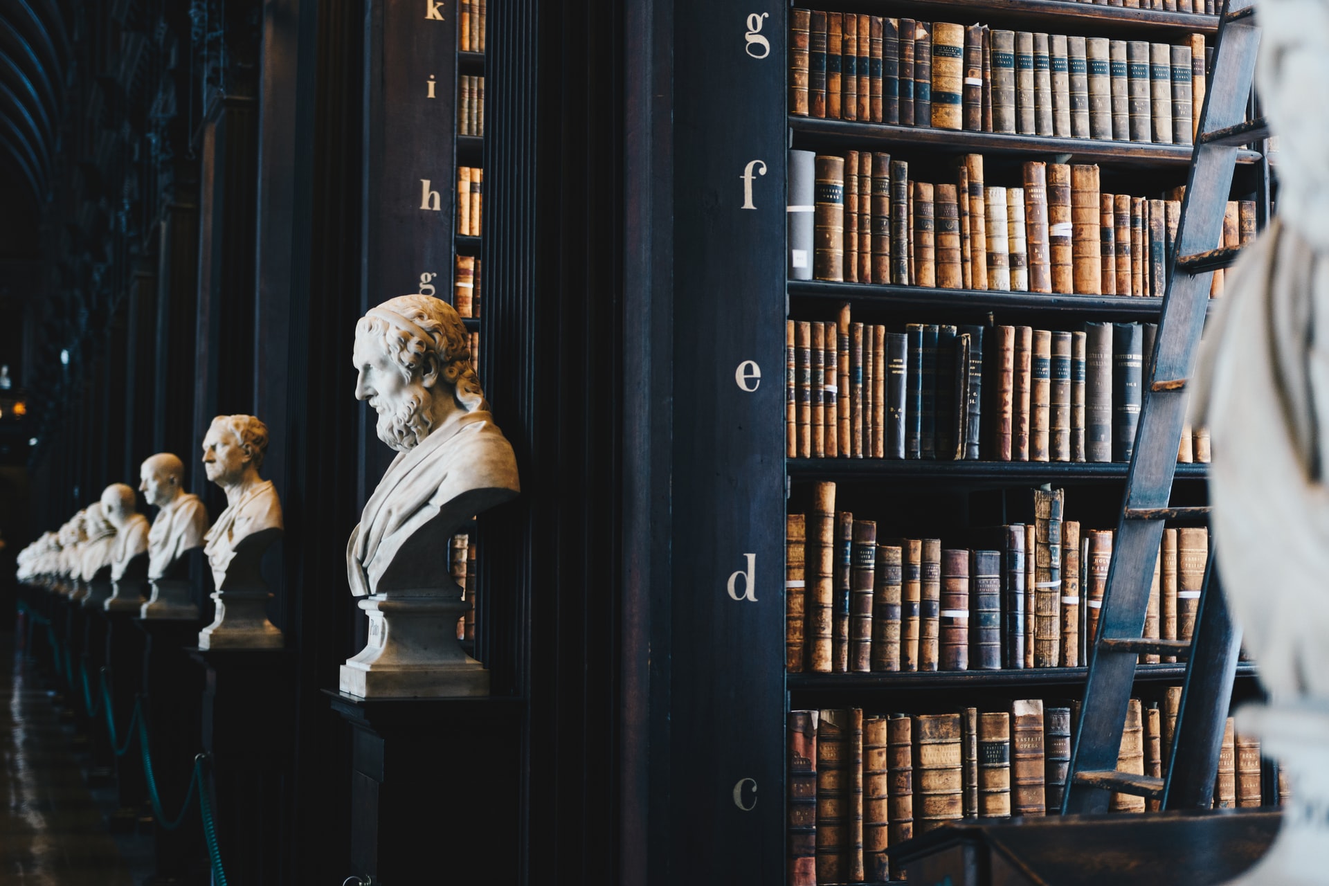 A large library featuring shelves of well-worn books and busts of historical figures