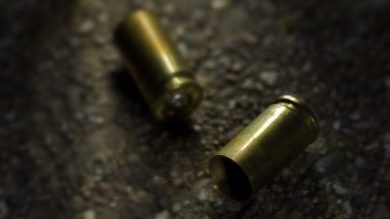 Bullet shell casings