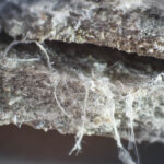 Asbestos Close Up