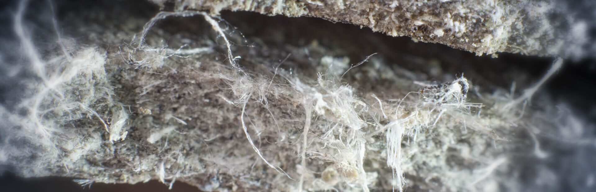 Asbestos Close Up