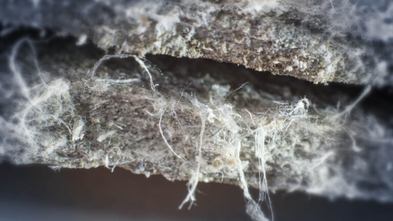 Asbestos Close Up