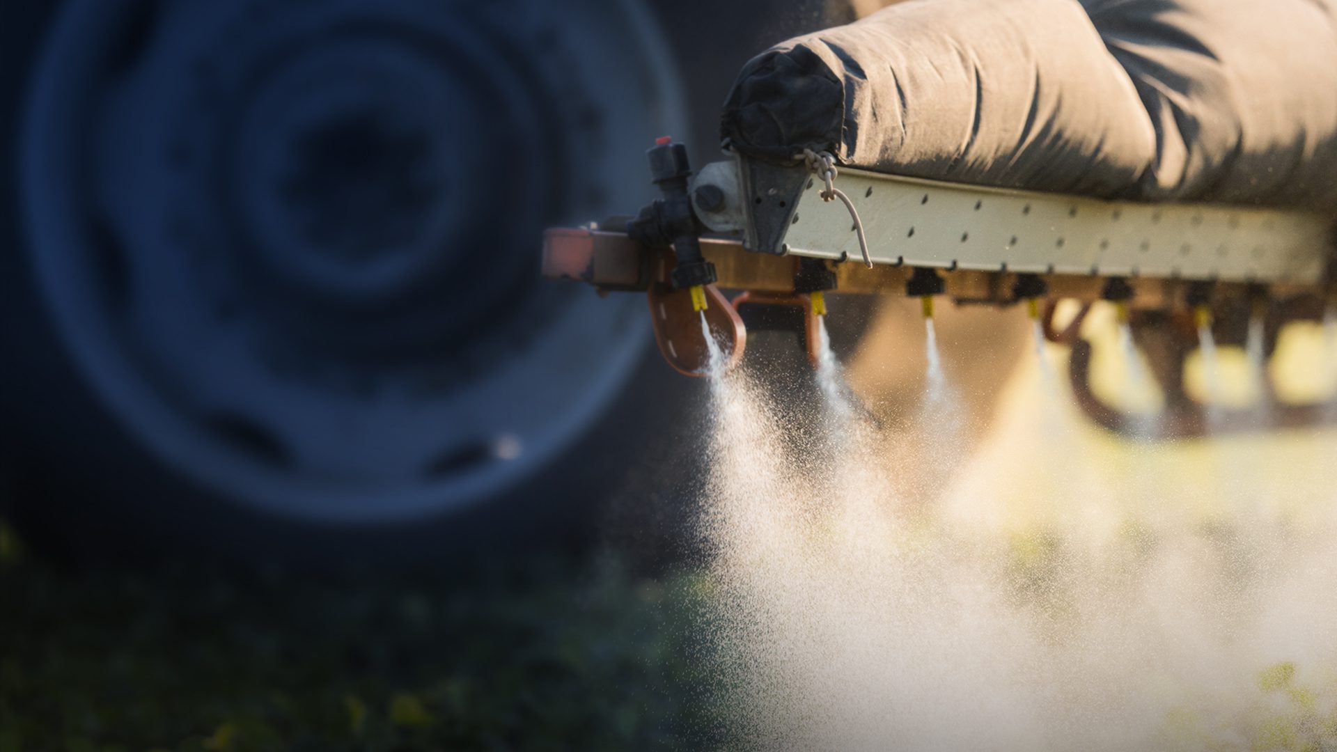 Roundup