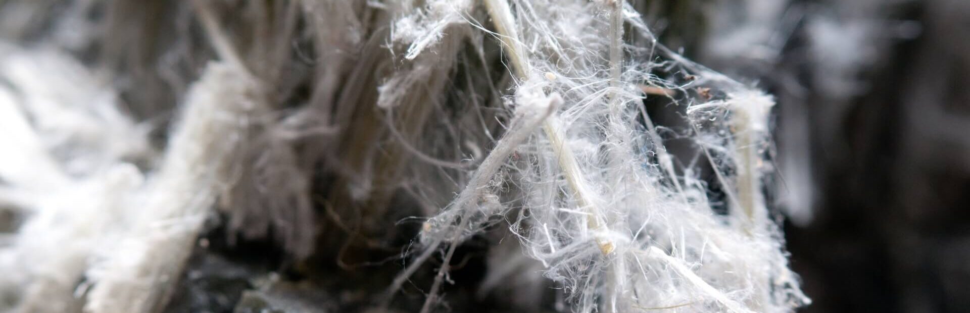 Magnified asbestos fibers