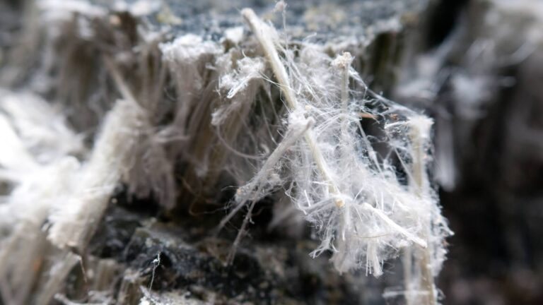 Magnified asbestos fibers