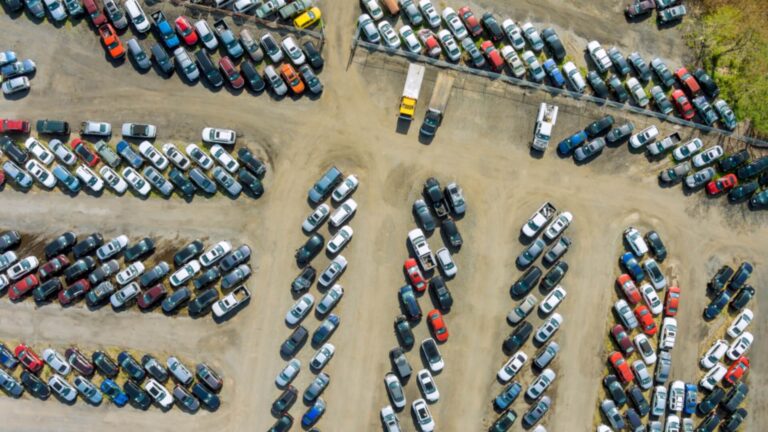 Auto Auction lot