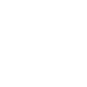 State of Texas with Dallas marked.