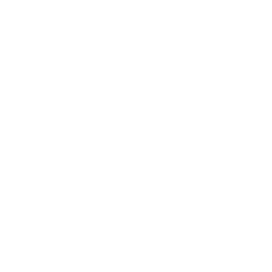 State of Texas with Dallas marked.