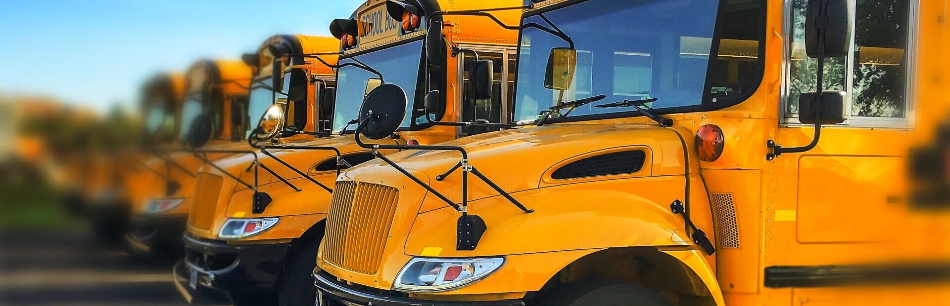 Deadly school bus crash: A fleet of school buses