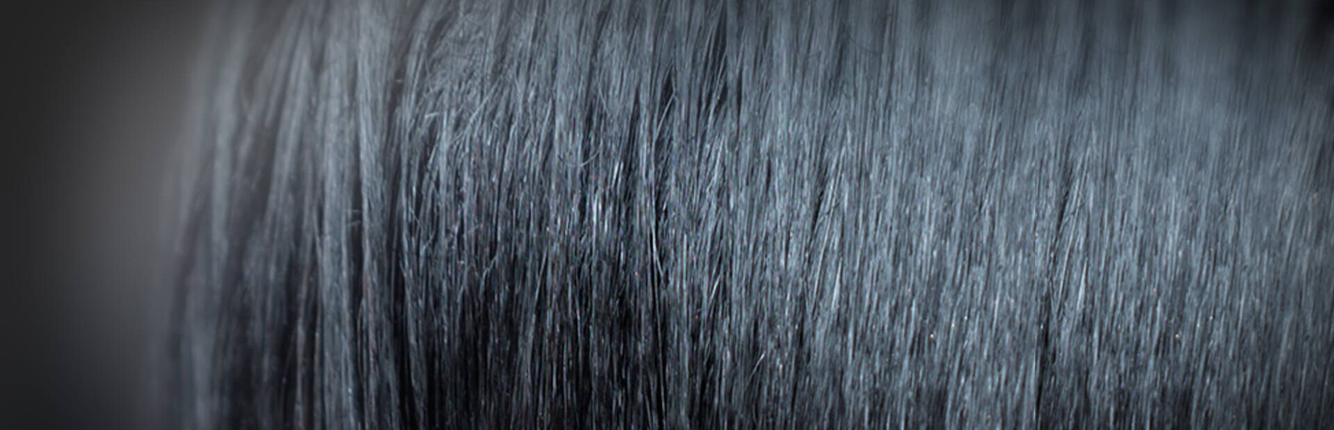 Close up of Black hair that has been treated with a chemical hair relaxer