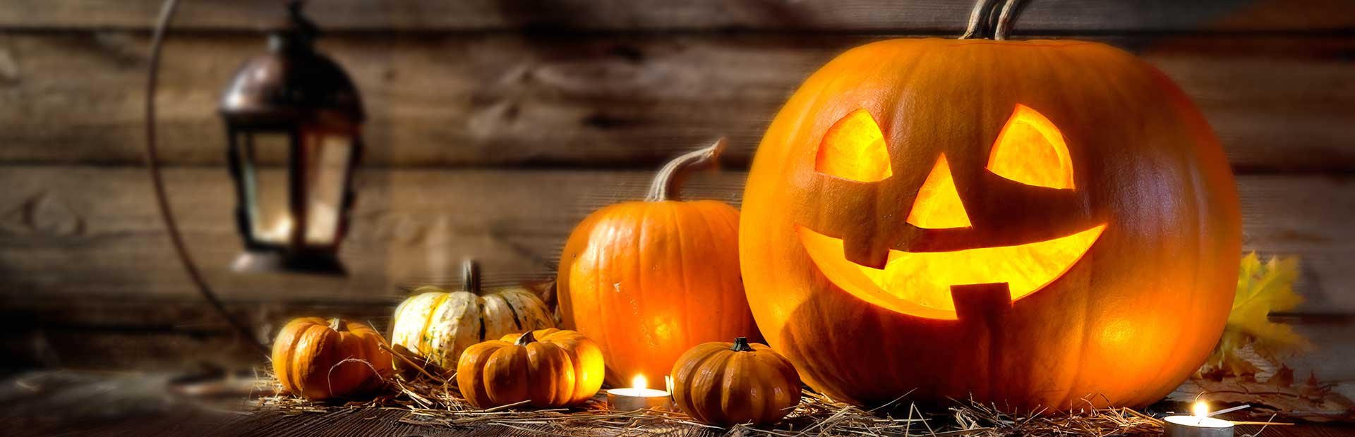 Happy Halloween! A display of carved and decorative pumpkins