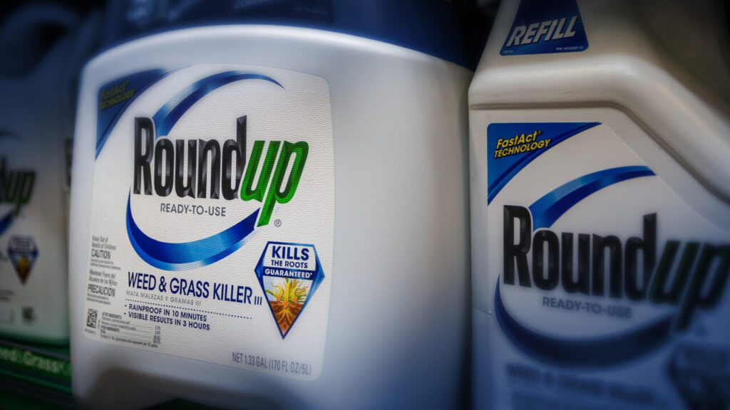 Decorative page content supporting image