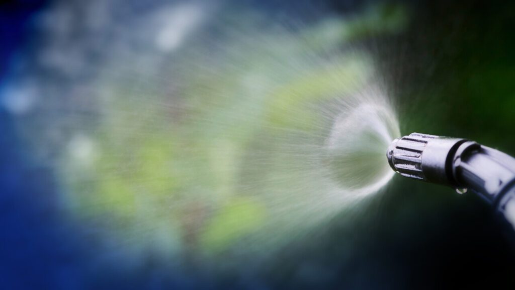 Supporting article image