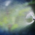 Supporting article image