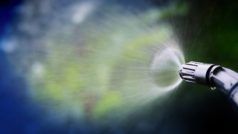 Supporting article image