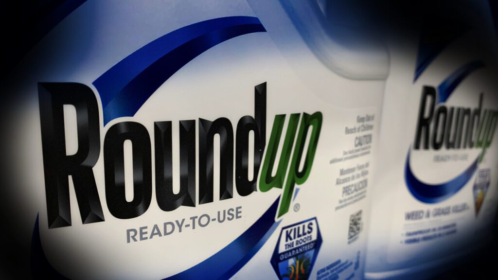 Decorative supporting content image