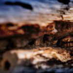 Decorative supporting content image