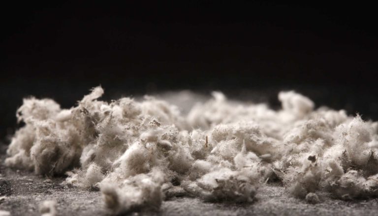 Magnified fibers present in asbestos products.