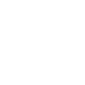 State of Alabama with Mobile marked.