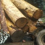 personal injury, truck accident injury, log truck
