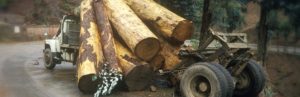 personal injury, truck accident injury, log truck
