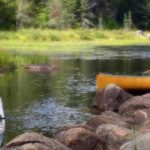 water contamination, toxic exposure